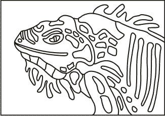 PC-69 Iguana Portrait — Sand art postcard outline of a patterned iguana head with a spiked crest