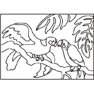 PC-33 Two Parrots on a Branch — Sand art postcard outline of two parrots perched on a branch among jungle leaves