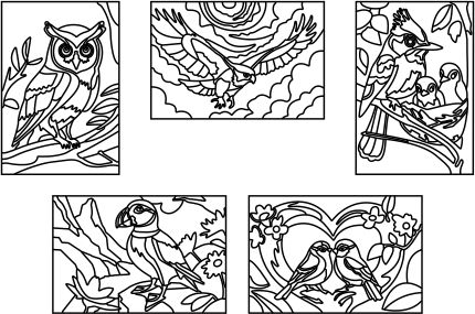Birds